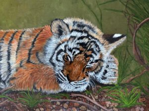 Sumatran Tiger Cub (Snowed In) Fine Art Print